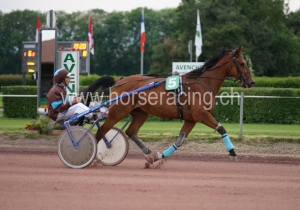 Kategorie: Avenches 2, 3.Juni 2014 (S.Schär